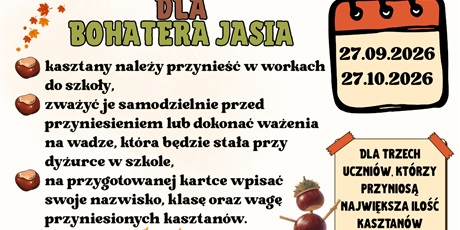 Zbieramy kasztany dla Bohatera Jasia